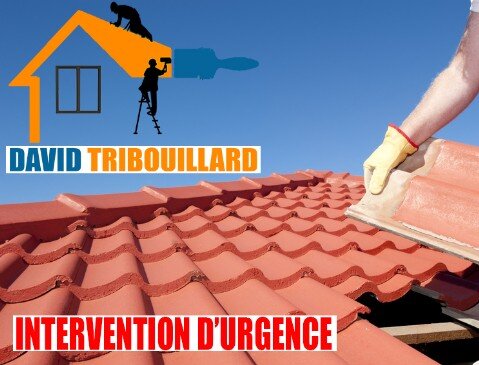 David Tribouillard Peintre Couvreur Saint-Lubin-des-Joncherets 28350 en Eure-et-Loir